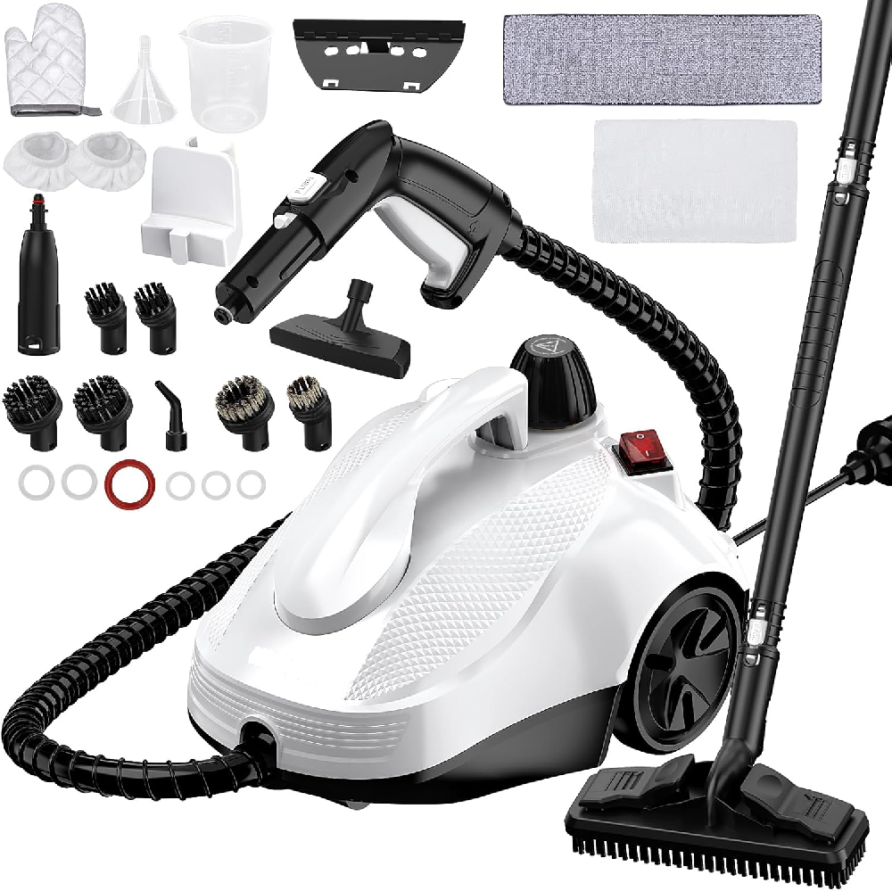 Saiwei Steam cleaner SW618-D